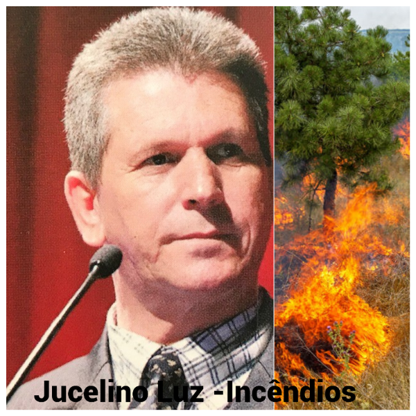 2026年5月の予測 - ジュセリーノ・ルス